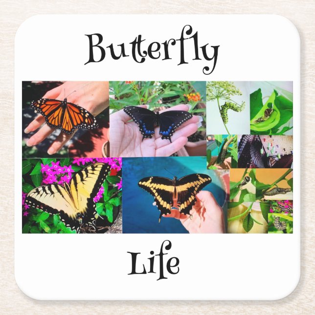 Butterfly Life Square Paper Coaster (Front)