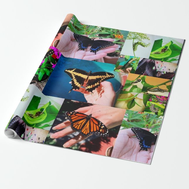 Butterfly Life Wrapping Paper (Unrolled)