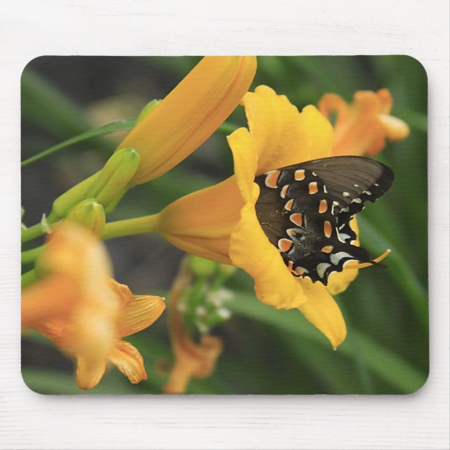 Butterfly Lily Mouse Pad (Front)