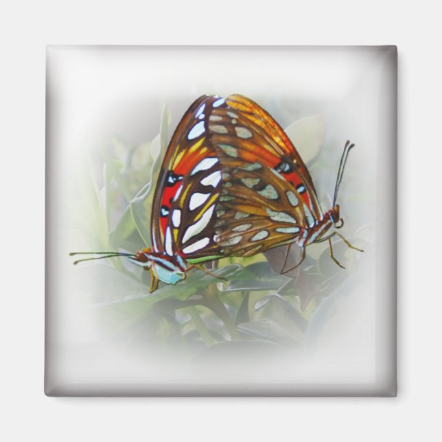 Butterfly Love Magnet (Front)