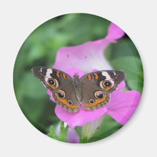 Butterfly Magnet