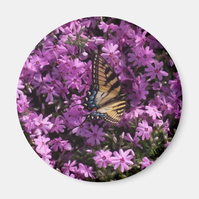 Butterfly Magnet (Front)