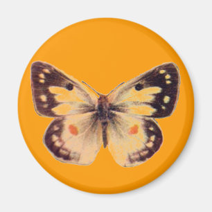 Butterfly Magnet