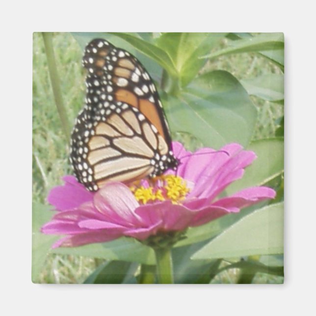 Butterfly Magnet (Front)
