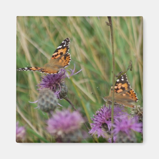 Butterfly Magnet (Front)