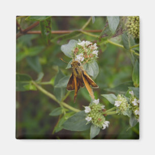 Butterfly Magnet