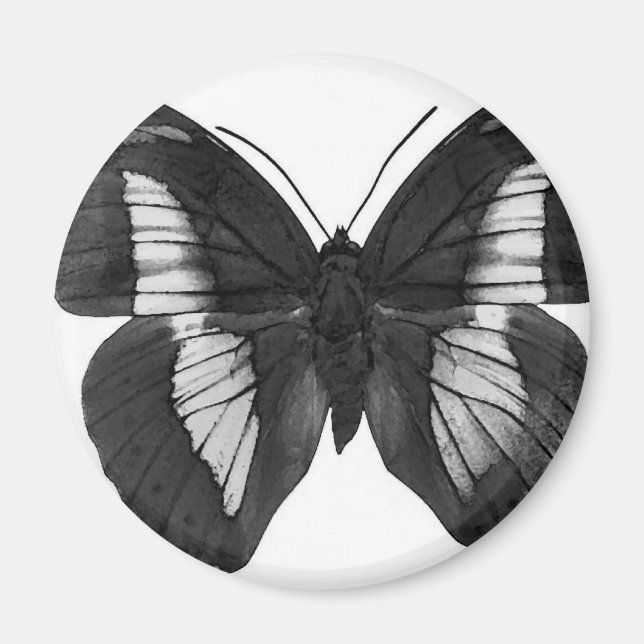 Butterfly Magnet (Front)