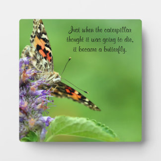 Butterfly Metamorphosis Plaque