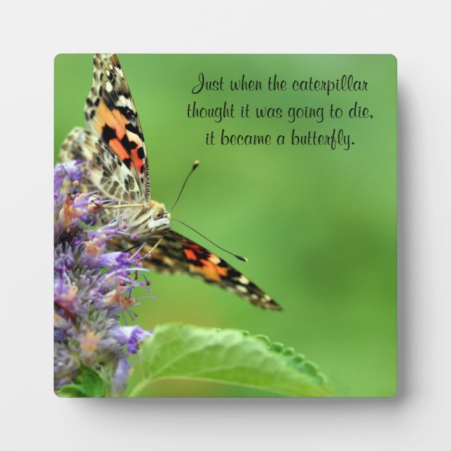 Butterfly Metamorphosis Plaque (Front)
