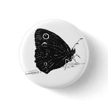 Butterfly Monochrome