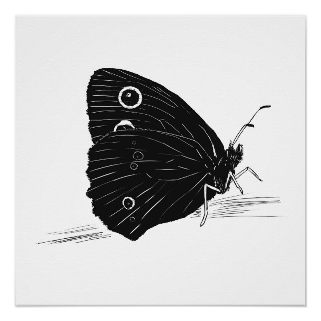 Butterfly Monochrome Print / Poster (Front)
