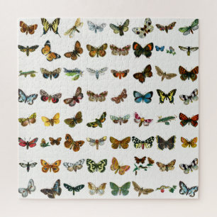 Butterfly, Moth and Caterpillar Collage Jigsaw Puzzle
