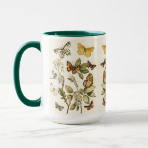 Butterfly, Moth and Caterpillars Mug