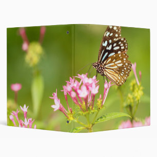 butterfly moth binder