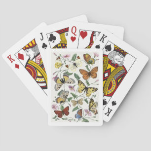 Butterfly & Moth by Paul Gervais Playing Cards