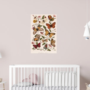 Butterfly & Moth by Paul Gervais Poster