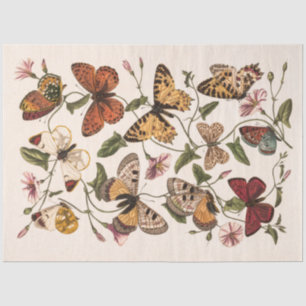 Butterfly & Moth by Paul Gervais Tissue Paper