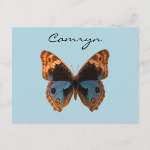 Butterfly Moth Insect Personalized Name Postcard