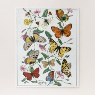 Butterfly & Moth Le Jardin Des Plantes Gervais Jigsaw Puzzle