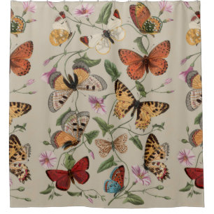 Butterfly Moth Nature Collection Drawing