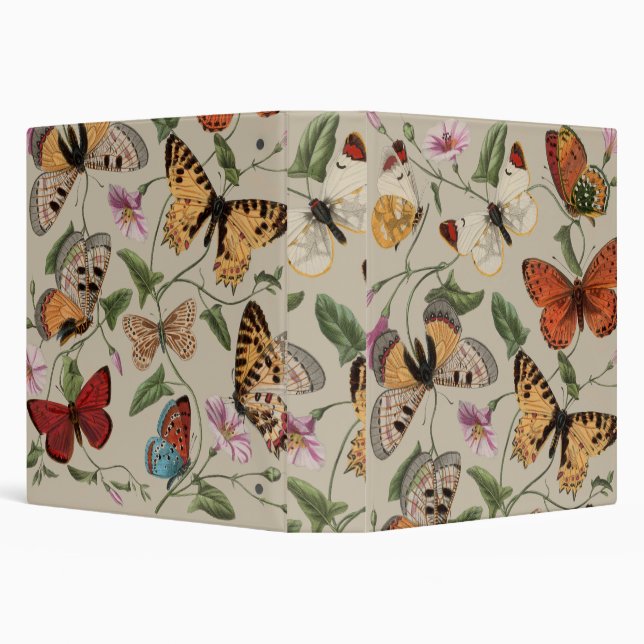 Butterfly Moth Nature Collection Drawing Binder (Background)