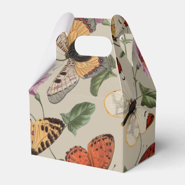 Butterfly Moth Nature Collection Drawing Favor Box (Front Side)