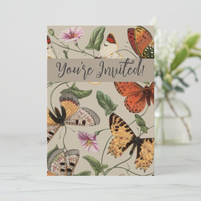 Butterfly Moth Nature Collection Drawing Invitation (Standing Front)