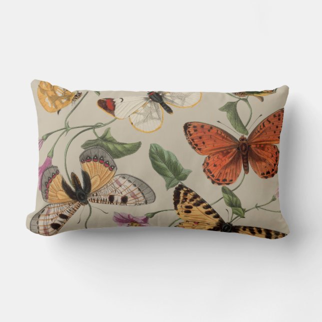 Butterfly Moth Nature Collection Drawing Lumbar Pillow (Front)