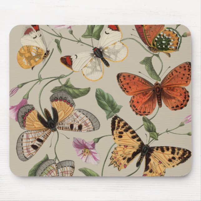 Butterfly Moth Nature Collection Drawing Mouse Pad (Front)