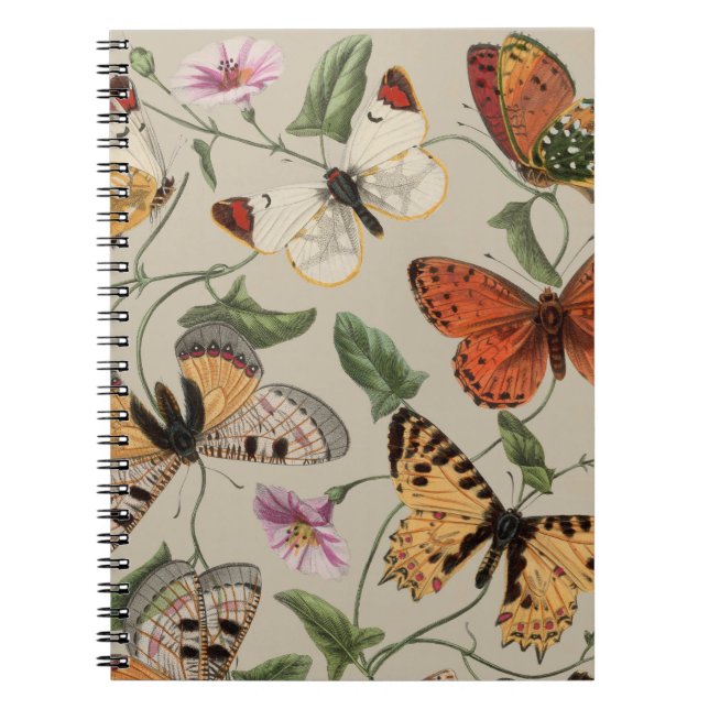 Butterfly Moth Nature Collection Drawing Notebook (Front)