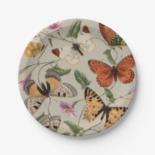 Butterfly Moth Nature Collection Drawing Paper Plate