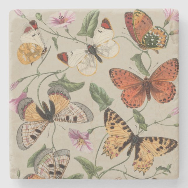 Butterfly Moth Nature Collection Drawing Stone Coaster (Front)