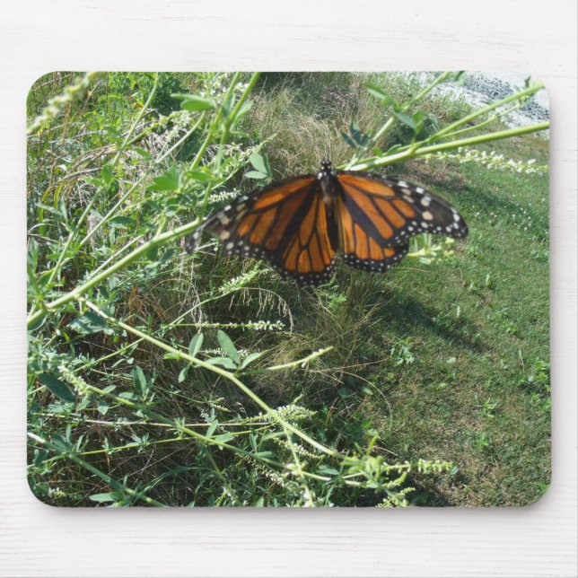 Butterfly Mouse Pad (Front)