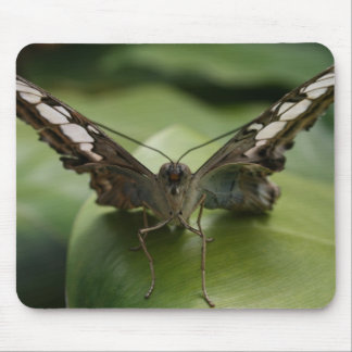 Butterfly Mouse Pad