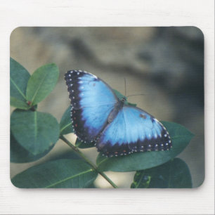 Butterfly Mouse Pad