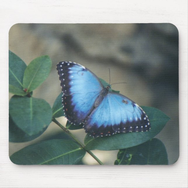Butterfly Mouse Pad (Front)
