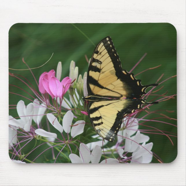 Butterfly Mousepad (Front)