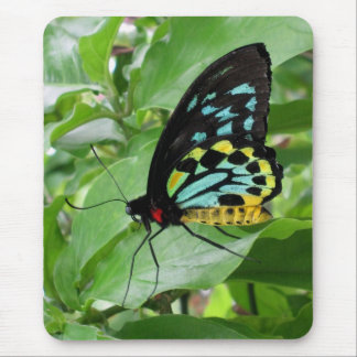 Butterfly Mousepad! Mouse Pad