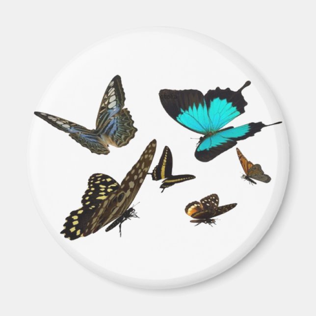 Butterfly multi magnet (Front)