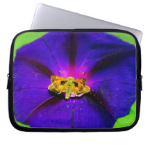 Butterfly n Morning Glory Flower