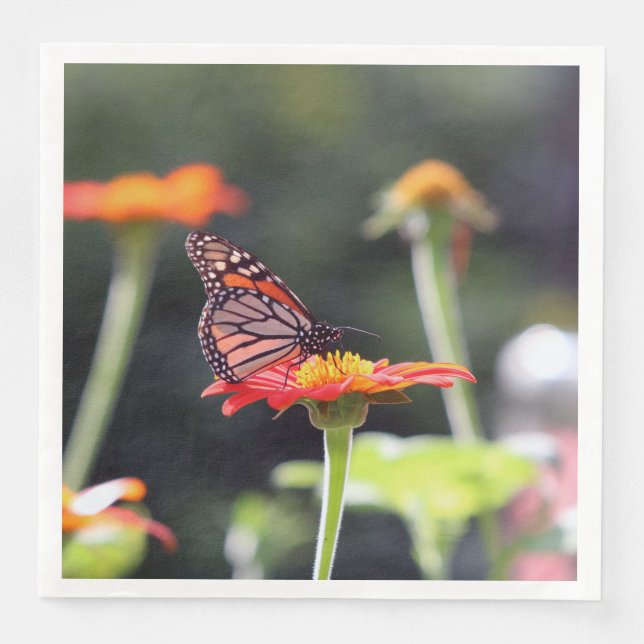 Butterfly Napkins (Front)