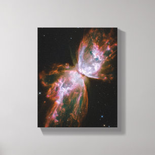Butterfly Nebula Canvas Print