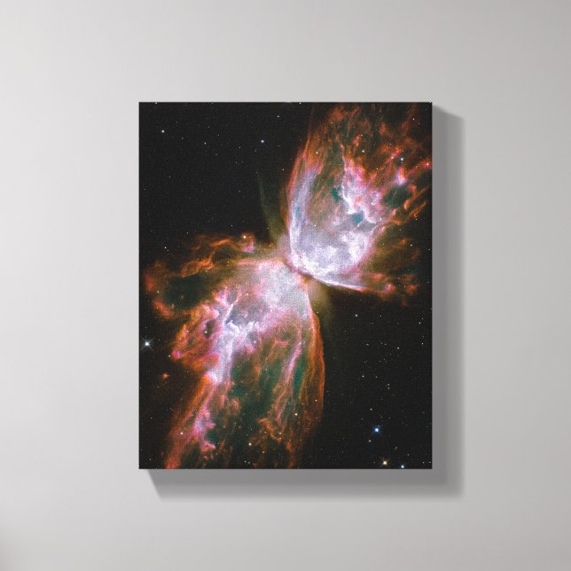 Butterfly Nebula Canvas Print (Front)