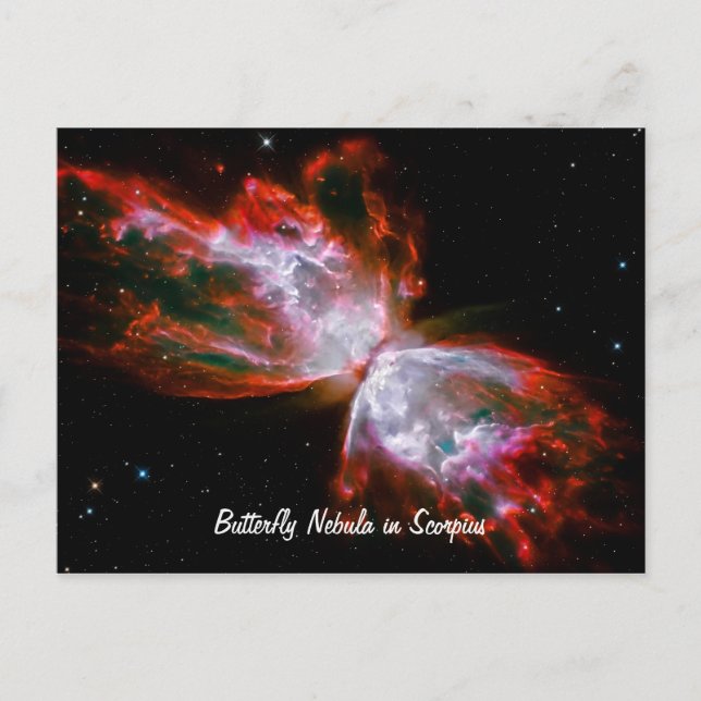 Butterfly Nebula in Scorpius Constellation Postcard (Front)