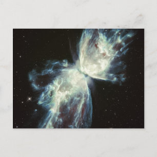 Butterfly Nebula Postcard