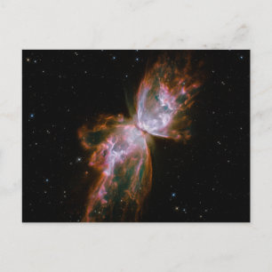 Butterfly Nebula Postcard