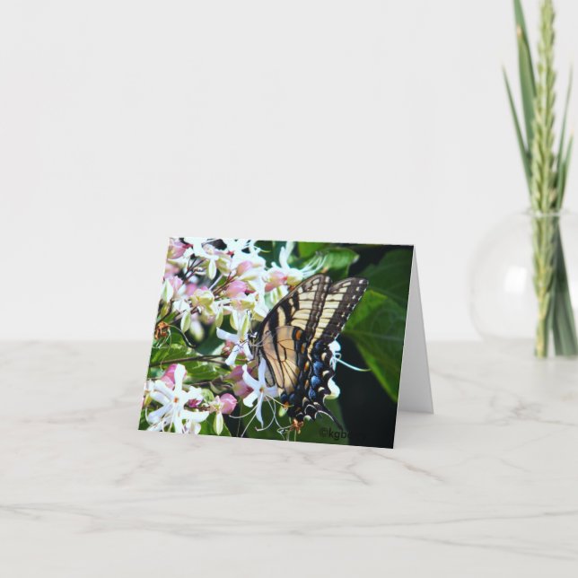 Butterfly Note Card (Front)