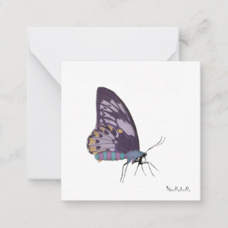 Butterfly  note cards