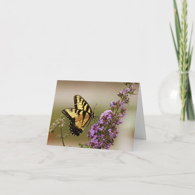 Butterfly Note cards (Front)