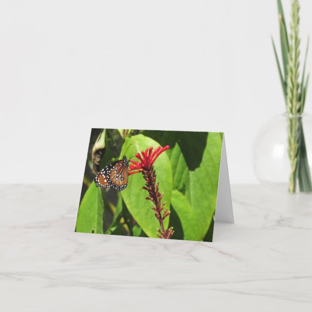 Butterfly Note Cards Non-specific (Front)